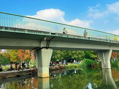 -白鹭湾湿地公园