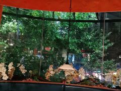 -沪小胖小龙虾(淮海中路旗舰店)