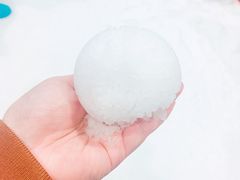 -Mr·Kuma酷么先生雪之乐园