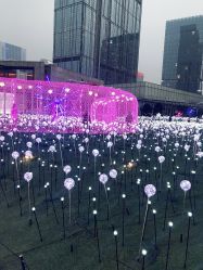 点击看大图 -美丽田园Beauty Farm