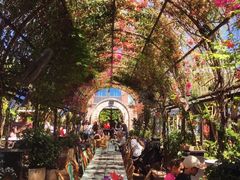 -The Grounds of Alexandria