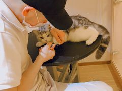 -Pets First伊珊娜洗护·精致美容·家庭式寄养(新会路店)