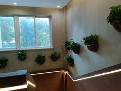 -合和大唐(江夏纸坊店)