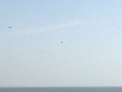 -巨鹏飞梦幻海岸