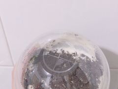 -TPLUS茶家(淮海店)