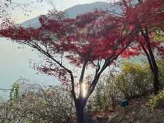 -长广溪湿地公园