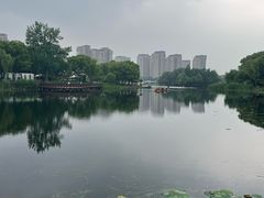 -新江湾城公园