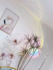 -美肤盾祛痘·问题肌头疗管理中心