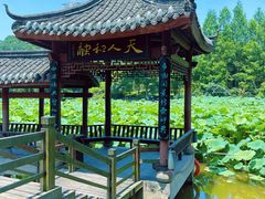 -龙头寺公园
