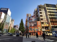 -秋叶原电器街