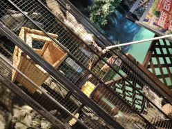 -酷嗒动物文化乐园(cutezoo西溪乐天城店)