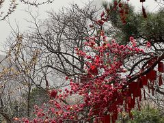 -天津盘山风景名胜区