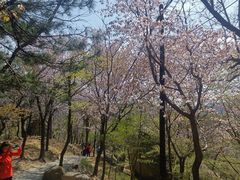 -崂山巨峰游览区