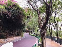 -金鸡山公园