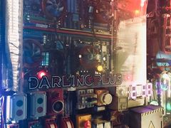 -Darling Queen·Mini·Live·House