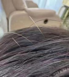 -希梵尔头皮抗衰·科技养发