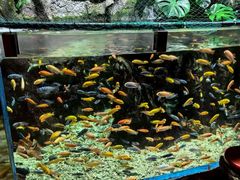 -太平洋海底世界