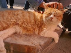 -终南山南五台景区