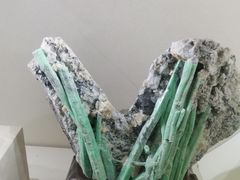 -安徽省地质博物馆
