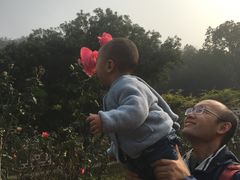 -龙寺生态园