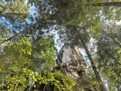 -汤旺河林海奇石景区