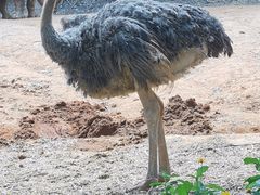-广州长隆野生动物世界