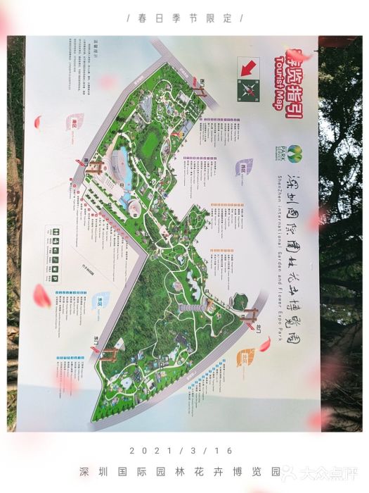 深圳国际园林花卉博览园图片