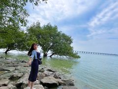 -宝安西湾红树林湿地公园