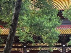 -南岳衡山风景名胜区-南岳大庙