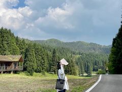 -武陵山森林公园