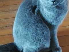 -爱侣宠医·鹦鹉专科·小型哺乳类·异宠专科(灵石路店)