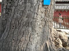 景点-少林寺景区