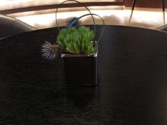 -wineapp葡萄酒餐吧(外滩金融中心店)
