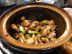 -红星光发煲仔饭(文海店)