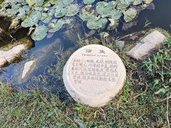 -前关湿地公园
