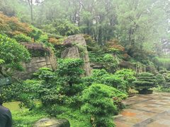 -南山植物园