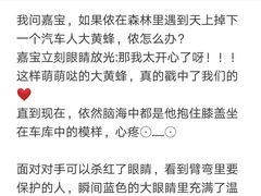 -国文影城(上海闸北店)