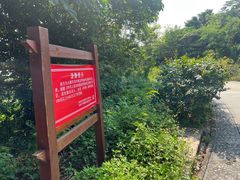 -西涌国际滨海旅游区