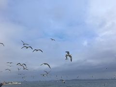 -星海广场