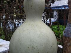 -姥家大锅台水库渔家