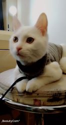 -盘子女人坊古装写真摄影(南京总店)