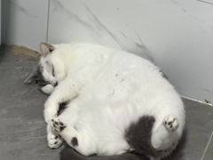-松岗(地铁站)