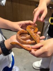 -Zoolung Zoolung动物主题公园(海信广场店)