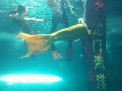 -洛阳龙门海洋馆
