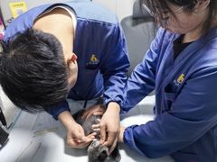 -半岛宠物医院24小时(科华中路店)