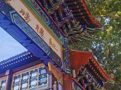 -荣国府