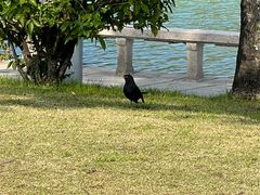 -白鹭洲公园