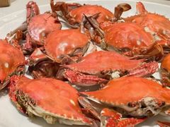 -莆鑫海鲜城(浏河店)