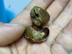 -粒上皇(天丰利市场店)