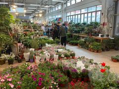 -双季花艺园艺市场(浦东店)